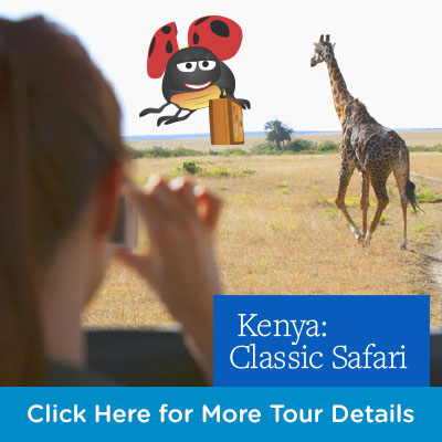 Lyn McNaught Travel - Kenya Safari