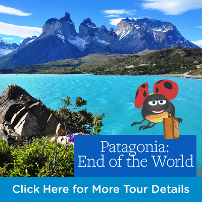 Lyn McNaught Travel - Globus Tours - Patagonia Journey