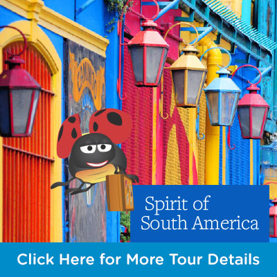 LMcT - Globus Campaign - South America