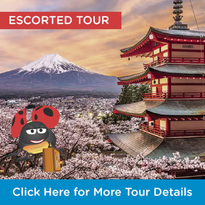 Lyn McNaught Travel - Japan Discovery Tour 2025